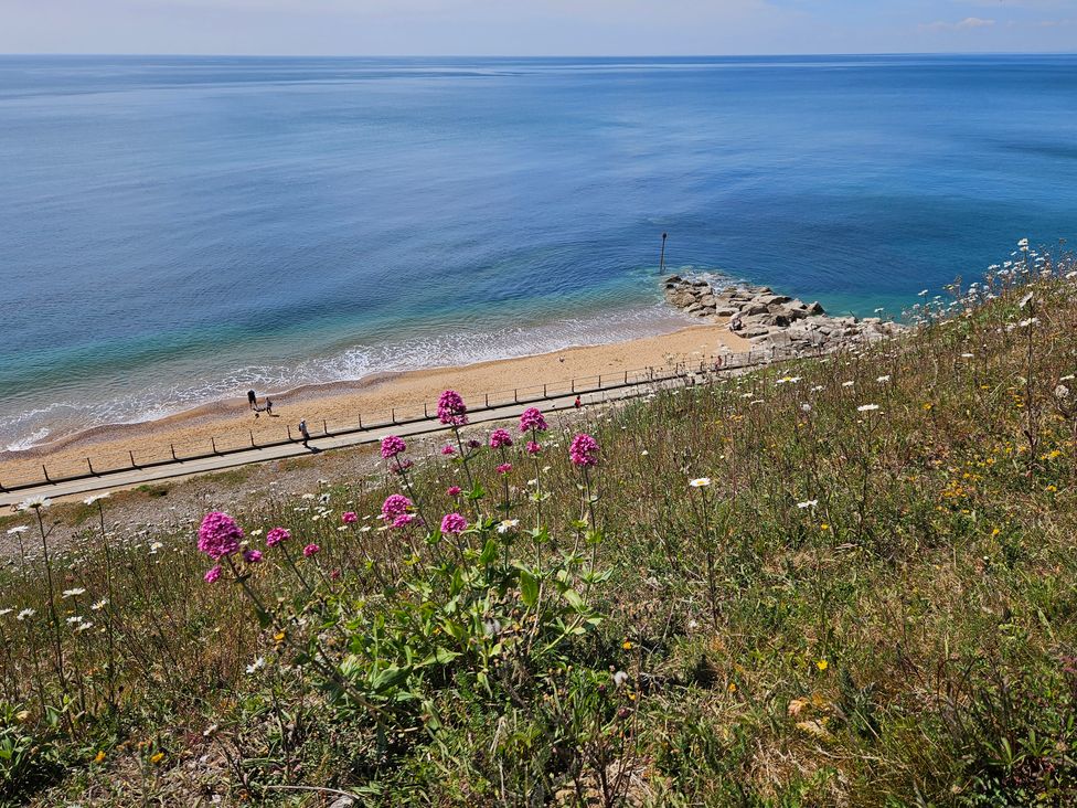 A grassy cliff with flowers overlooking a sandy beach and calm ocean at Sandy Combe in West Bay