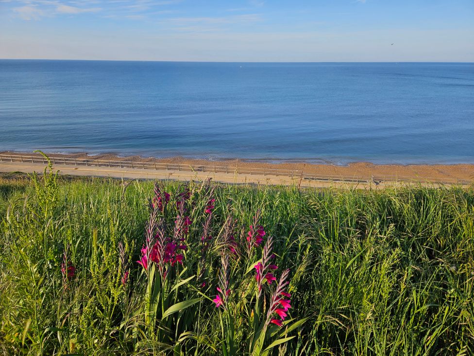 A coastal scene with purple flowers and tall grass overlooking a beach and calm sea at Sandy Combe in West Bay