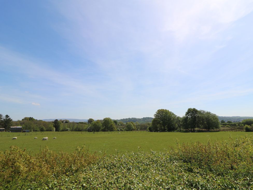 Brecknock Cheviot - The Sheepfold - Mid Wales - 1059725 - thumbnail photo 34