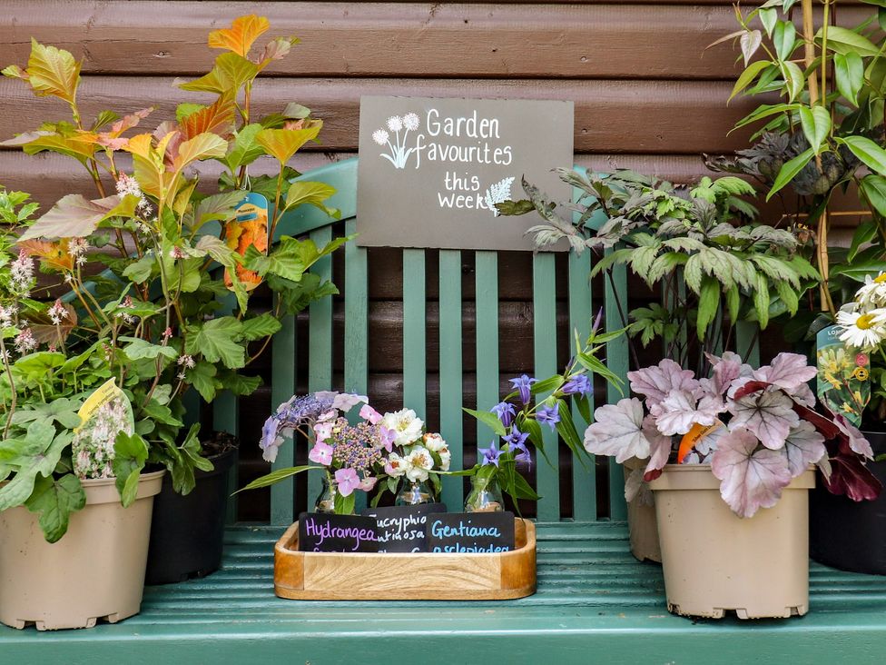 A display of flowers and plants on a bench with a sign at Branklyn Garden Cottage Perth