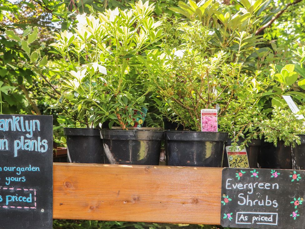 Plants for sale in pots with signage at Branklyn Garden Cottage in Perth