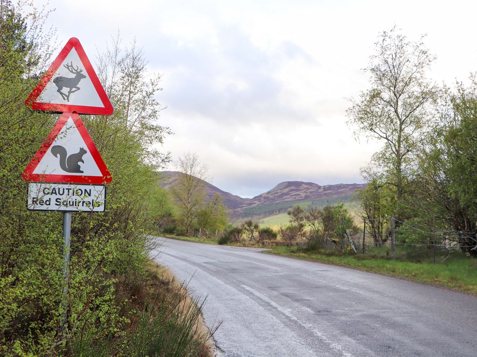 A road with signs for deer and squirrels in the Scottish countryside