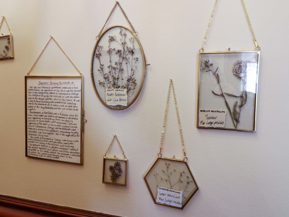 A collection of framed dried flowers and text on a wall at Braeriach - Mar Lodge Estate, Braemar