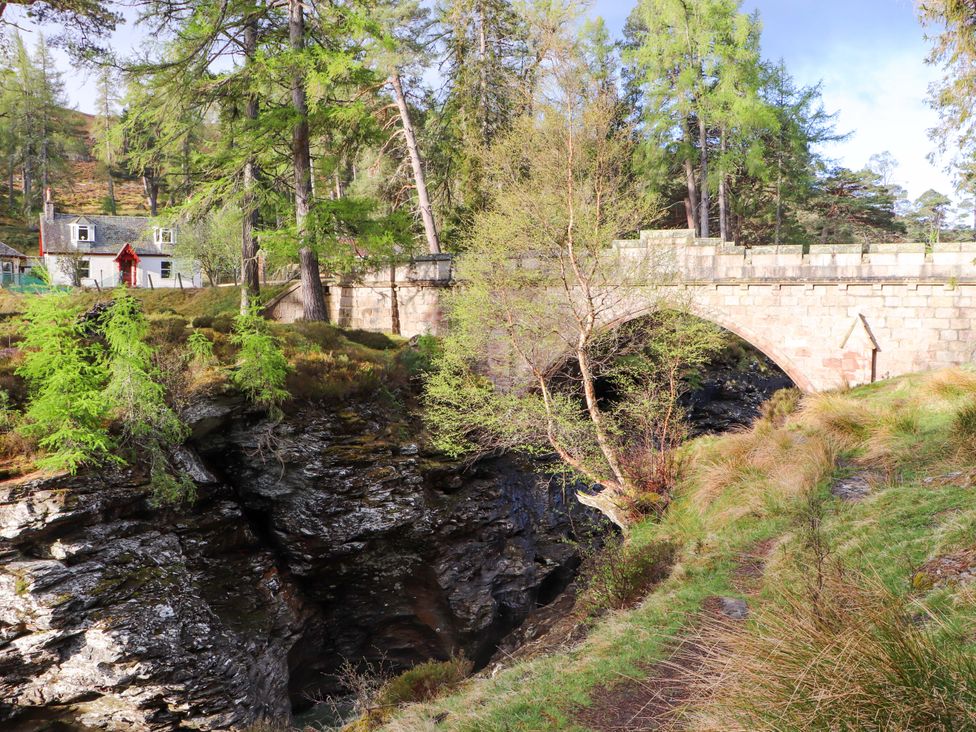A bridge near a house surrounded by trees at Derry - Mar Lodge Estate in Braemar
