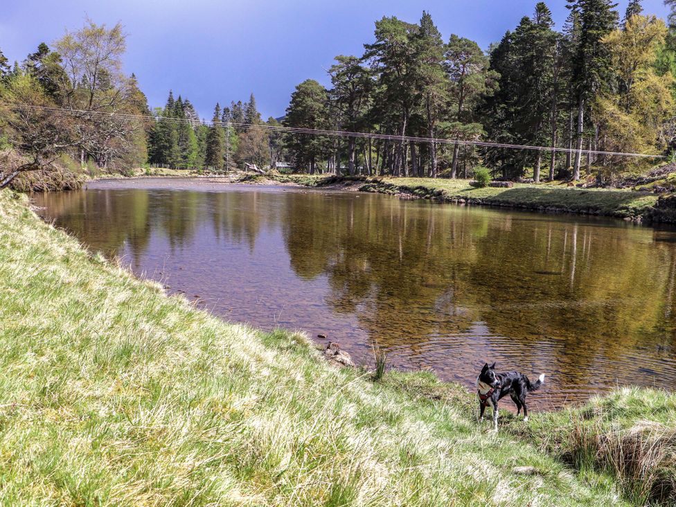 A river with grass and trees beside it at Derry - Mar Lodge Estate in Braemar