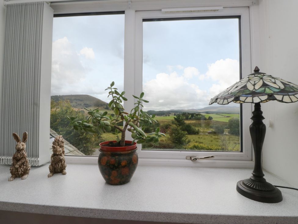A windowsill with a plant and lamp at Sherriff, Troutbeck, near Keswick