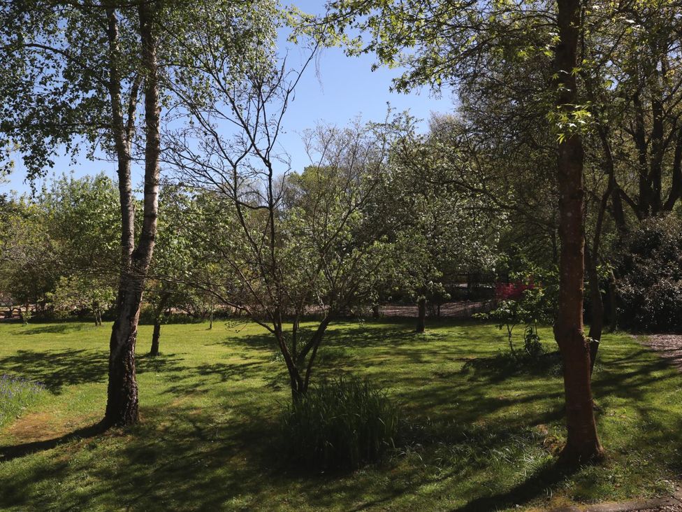 A garden with trees and grass at Harvest Lodge in Wineham near Bolney
