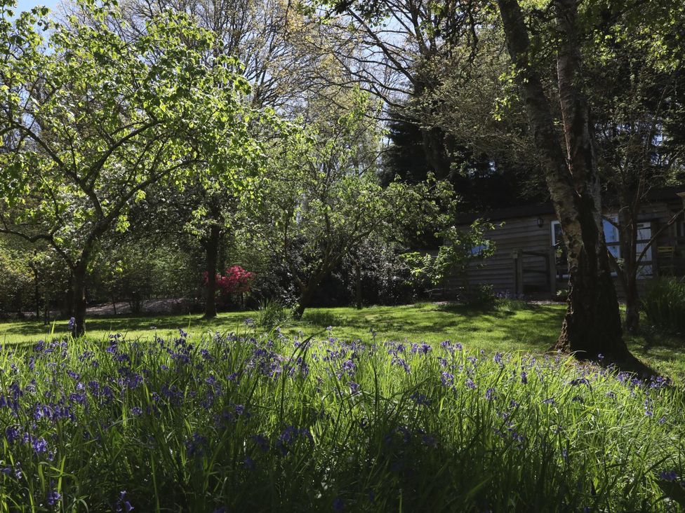 A garden with flowers and trees at Harvest Lodge in Wineham near Bolney
