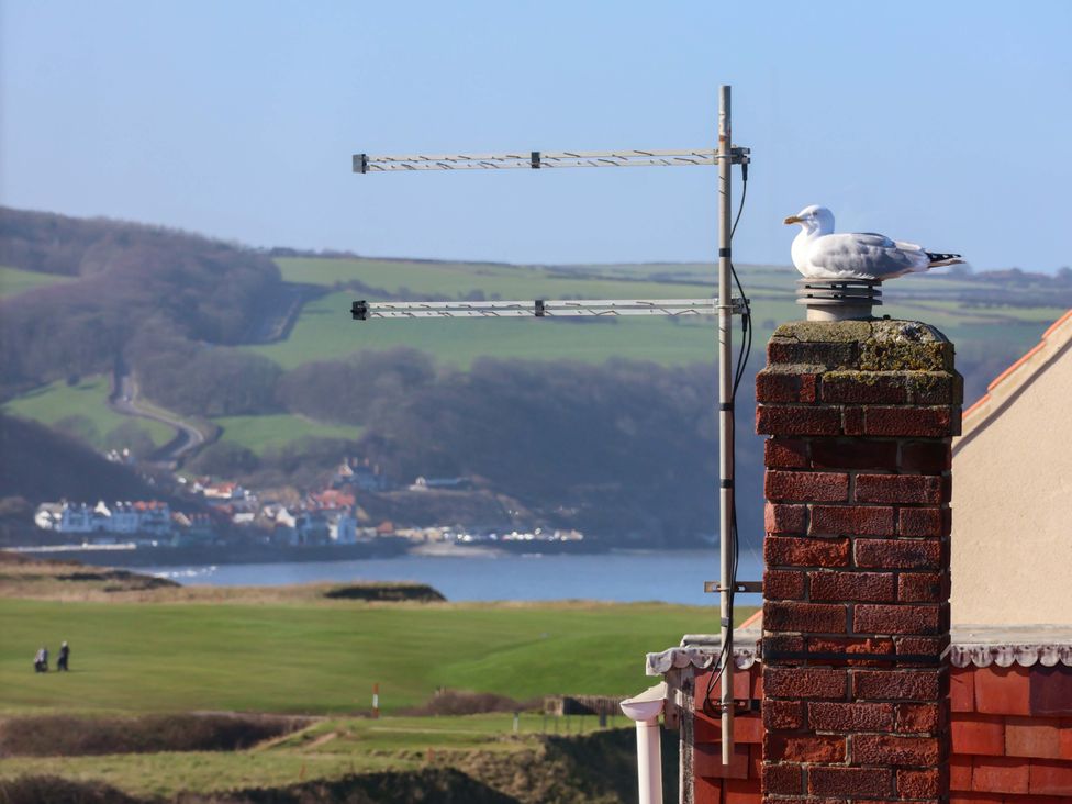 A chimney with a seagull on top overlooking a landscape at Beachcrest in Whitby