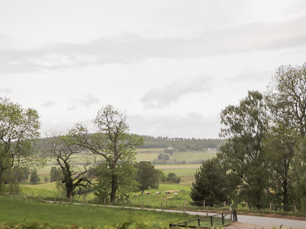 A landscape with trees and cows in a field at Culreach Lodge Grantown-on-Spey near Nethy Bridge