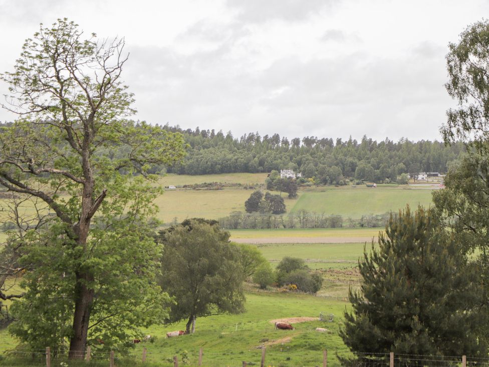 A landscape with trees and fields at Culreach Lodge in Grantown-on-Spey near Nethy Bridge