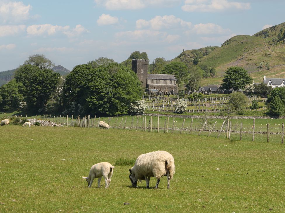 A grassy field with sheep and a stone building at Kilmartin View in Netherlargie Farm
