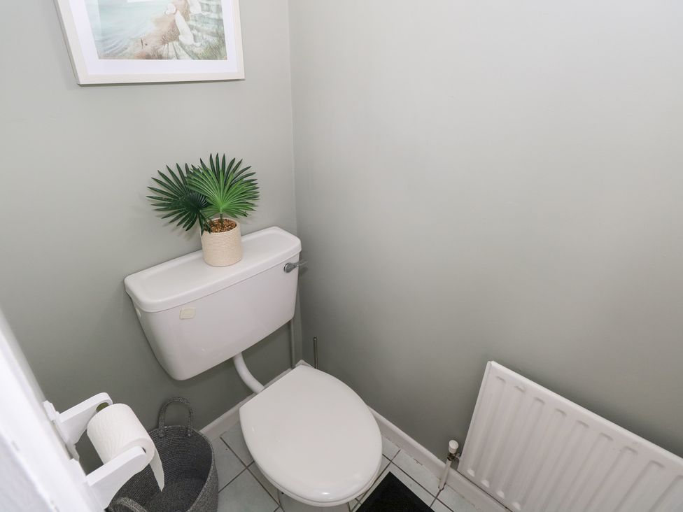 A bathroom with a toilet and plant at Churchfield House in Moygownagh near Crossmolina, County Mayo