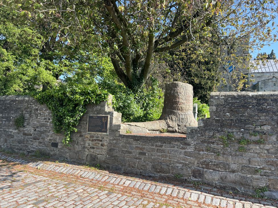 An outdoor scene featuring a stone wall and tree at Bracken Cottage in Stanhope