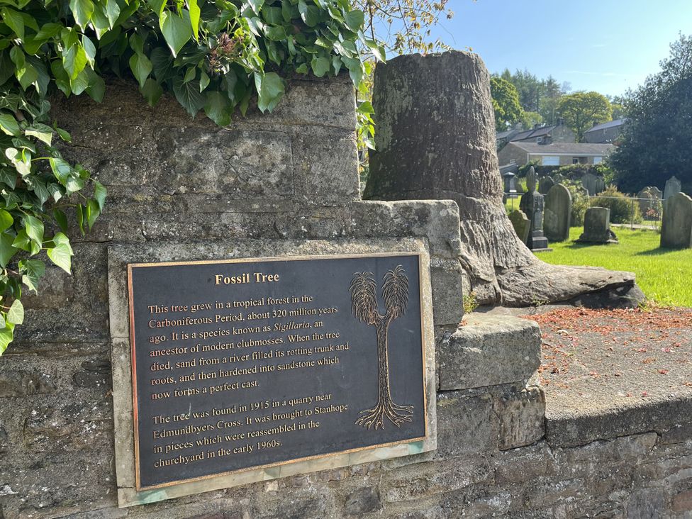 Fossil tree and plaque in a graveyard at Bracken Cottage Stanhope