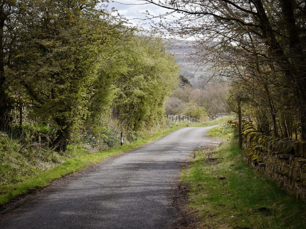 A winding road surrounded by trees and a stone wall at Bracken Cottage in Stanhope