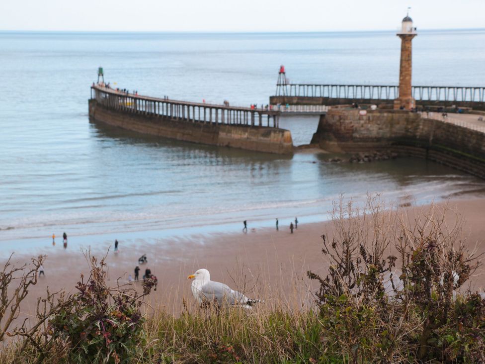 A view of a pier with a seagull in front at Sail Away, 17 Union Mill in Whitby
