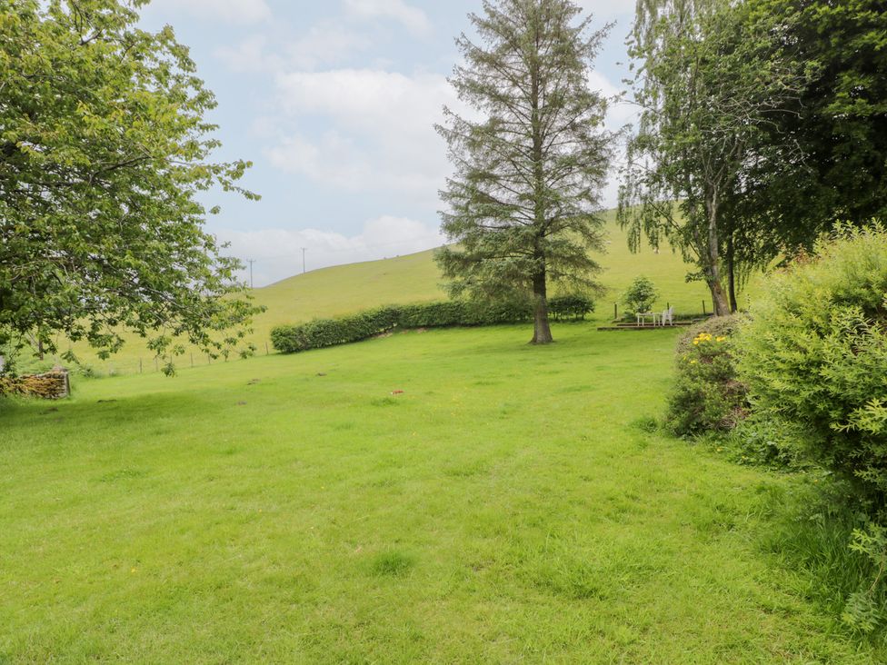 A garden area with trees and grass at Strathannan in Moffat
