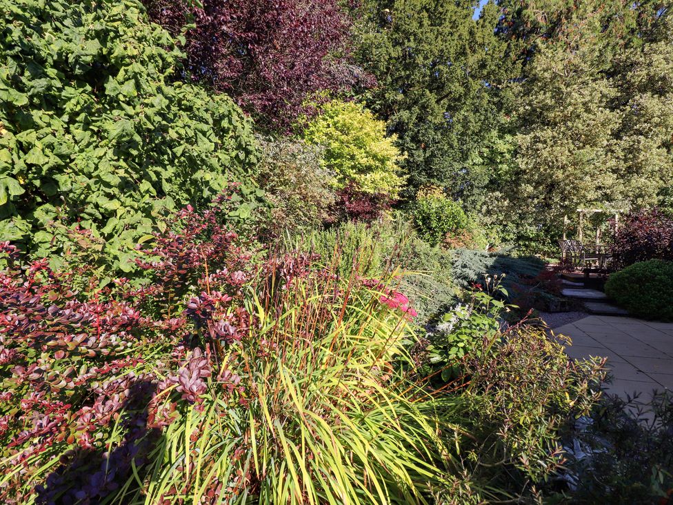 A garden with various plants and shrubs next to a stone patio with chairs at Edencroft in Greystoke