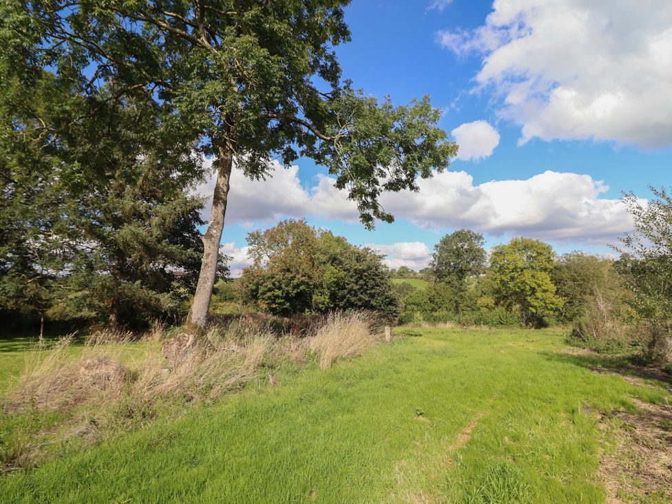 A grassy area with trees and clouds at Stag Lodge Pod in Llanfair Caereinion