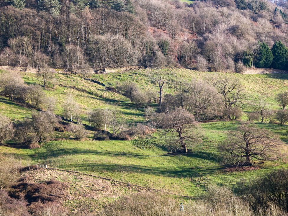 A landscape with trees and grass in a hilly area at Kirkham House Matlock Bath
