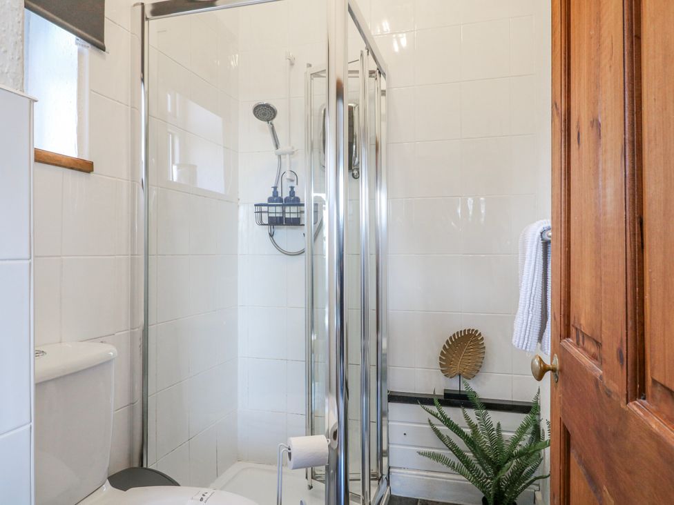 A bathroom with a shower and toilet at Ley Fields Farm in Cheadle