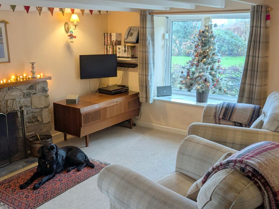 A living room with a dog on a rug at Penllain in Newport, Pembrokeshire