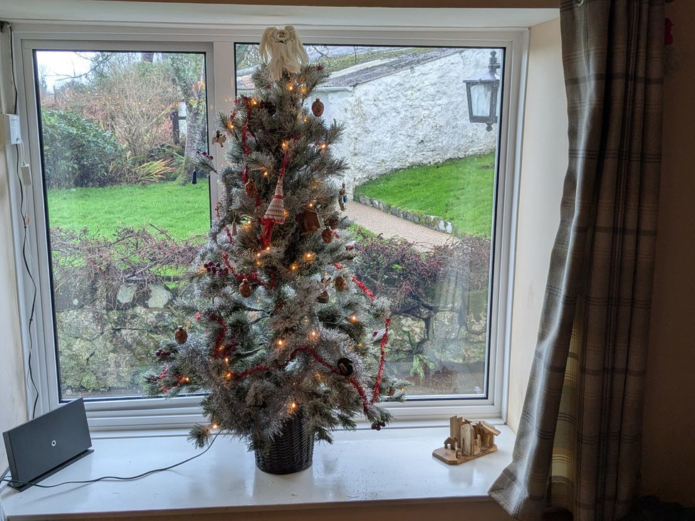A Christmas tree in front of a window at Penllain Newport, Pembrokeshire