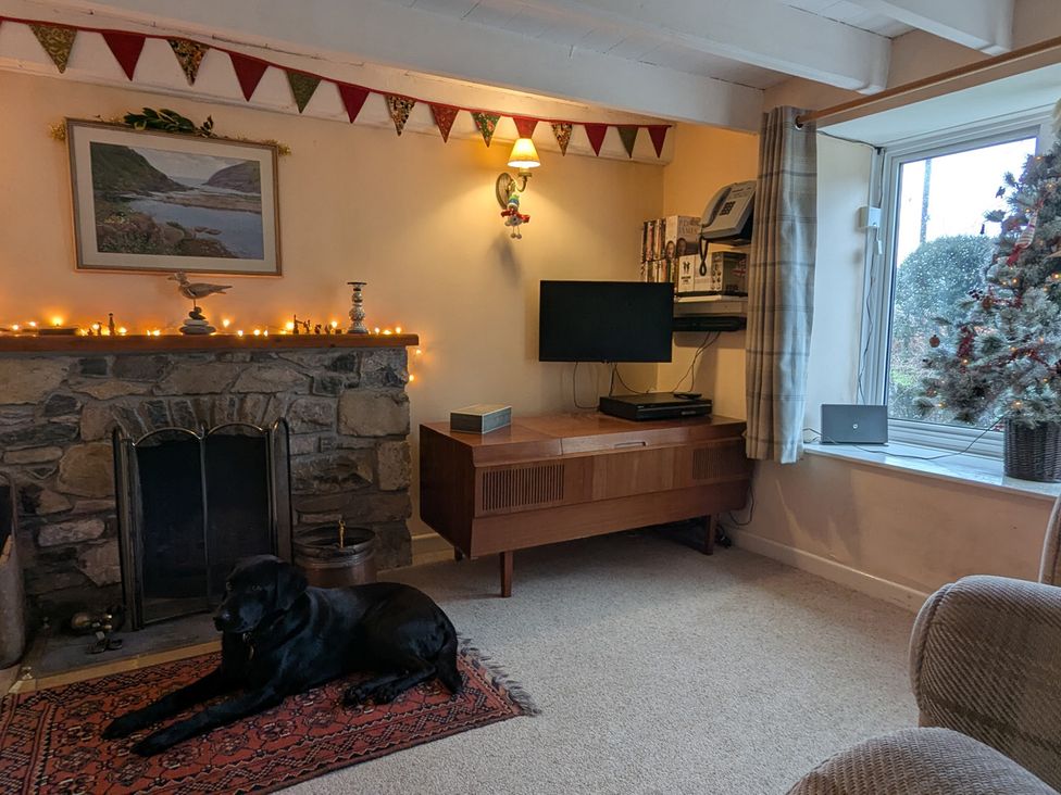 A living room with a fireplace and a dog at Penllain Newport, Pembrokeshire