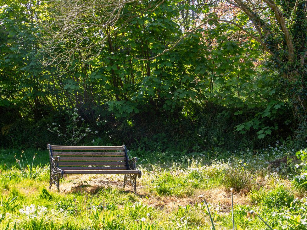A bench in a grassy area surrounded by trees at Carrows Stable Morwenstow