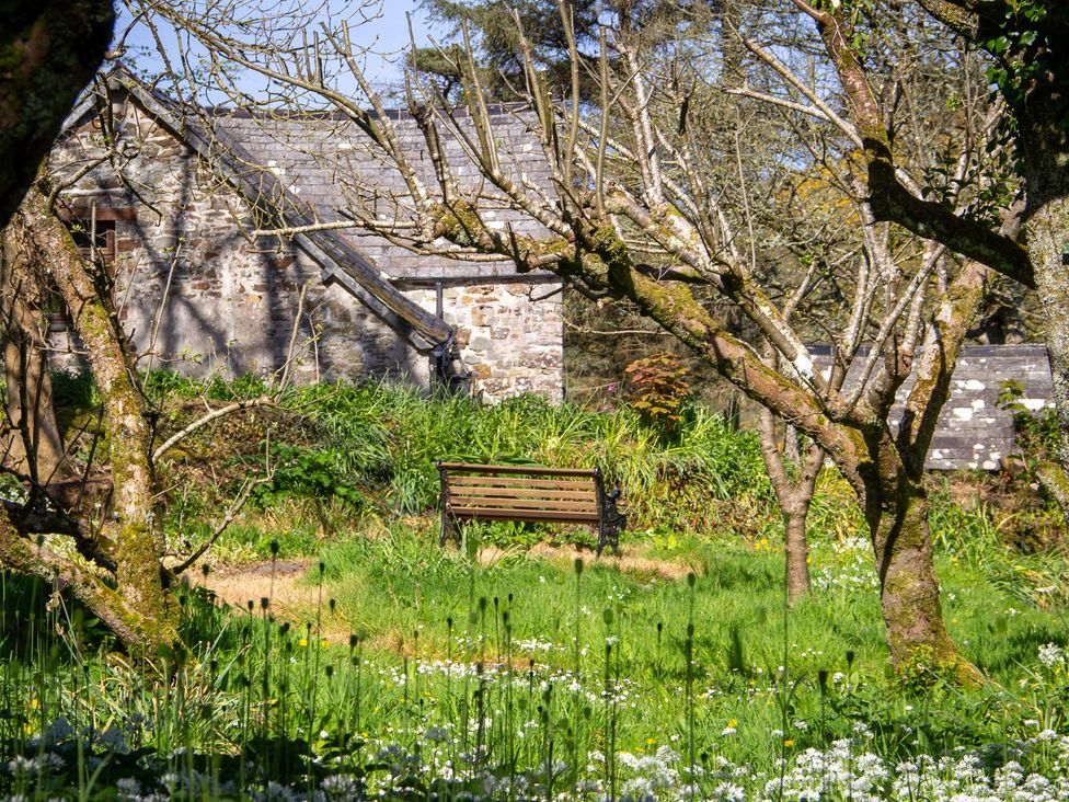 A garden with a bench and trees at Carrows Stable in Morwenstow
