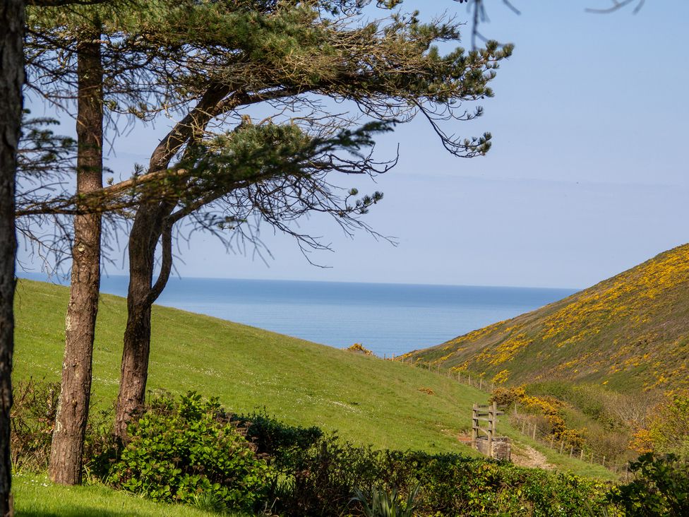 A view of hills and the sea from a grassy area at Carrows Stable in Morwenstow