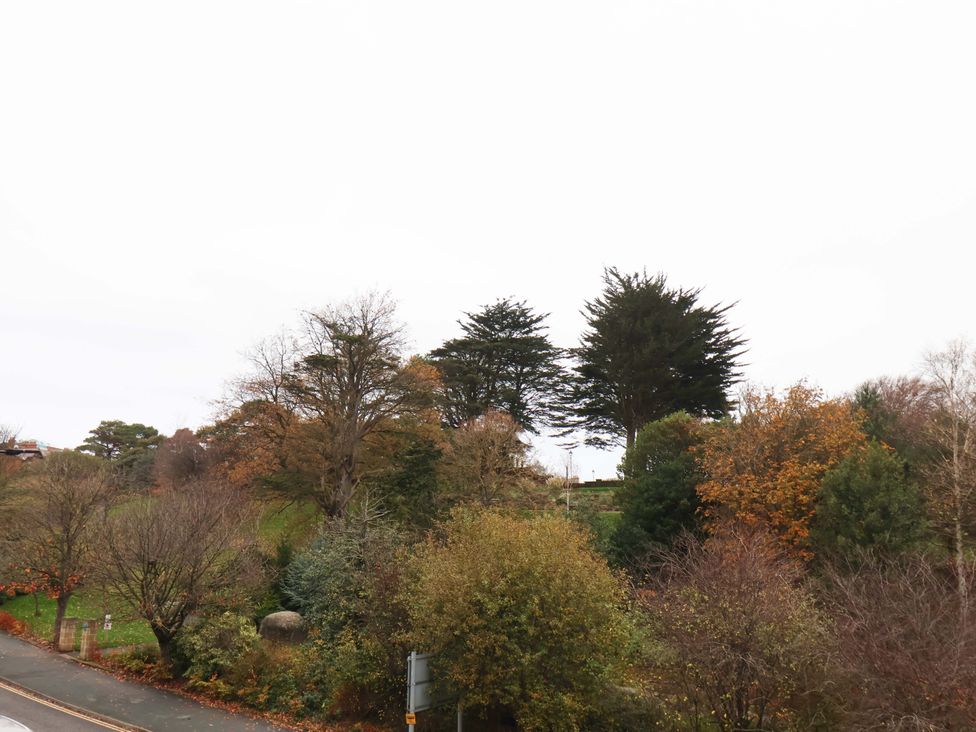 A view of trees and bushes along a road in Beachwalk Villa 1