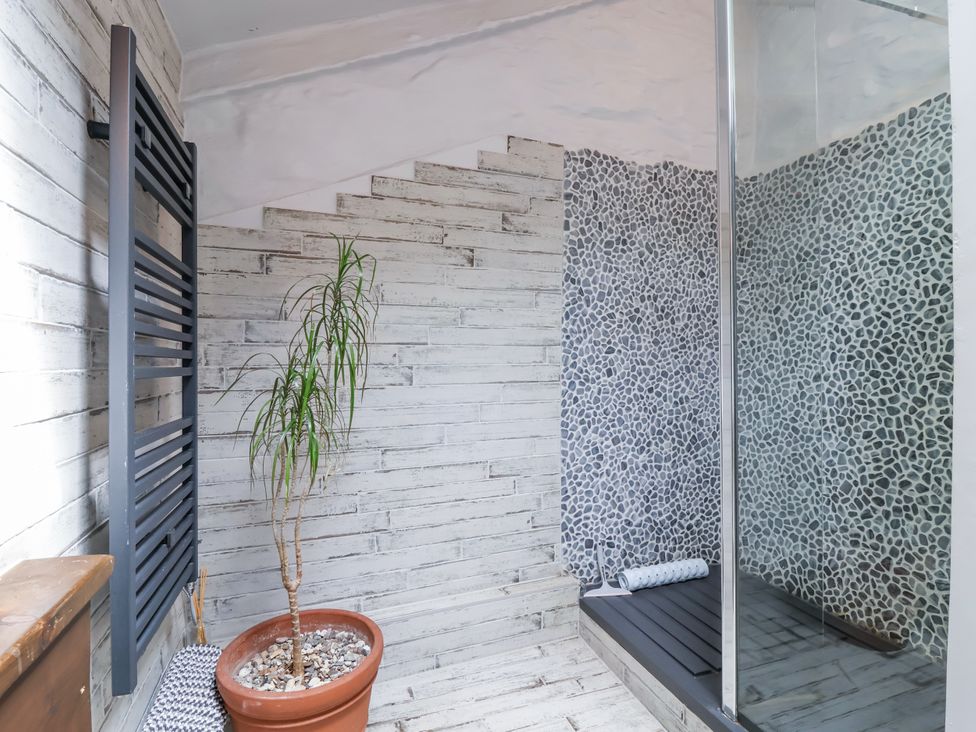 A bathroom with a shower and a plant at 2 Cliff Cottages West Portholland near Gorran Haven