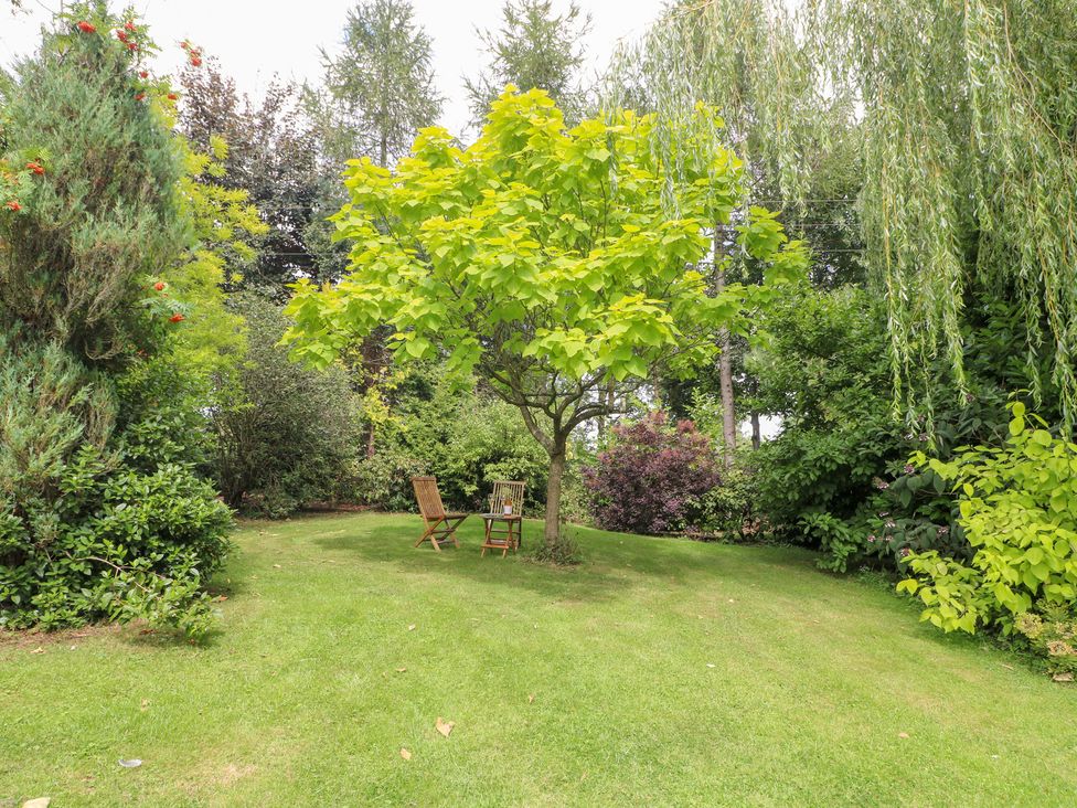 A garden with a tree and chairs at Ladycroft Barn Ashbourne