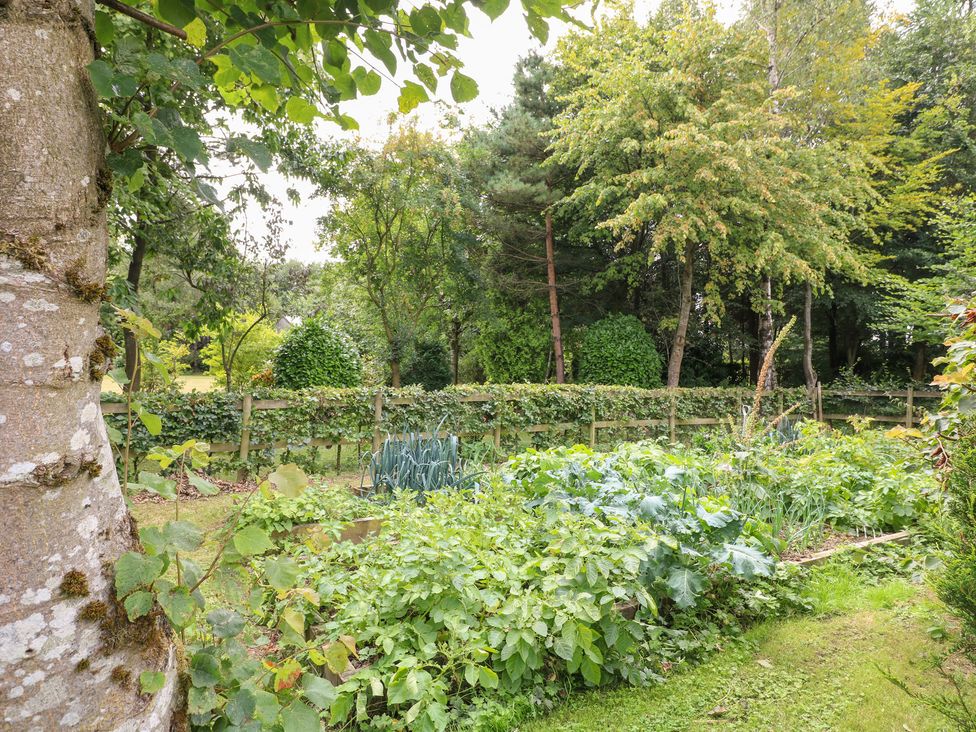 A garden with trees and a vegetable patch at Ladycroft Barn in Ashbourne