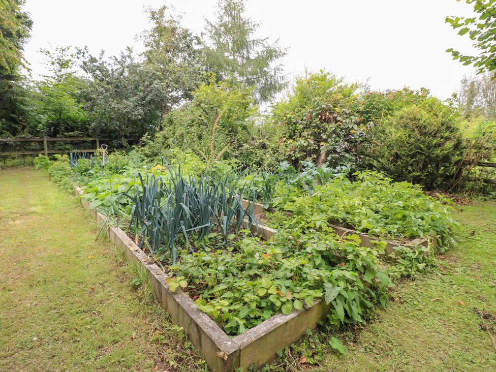 A vegetable garden with raised beds and various plants at Ladycroft Barn in Ashbourne