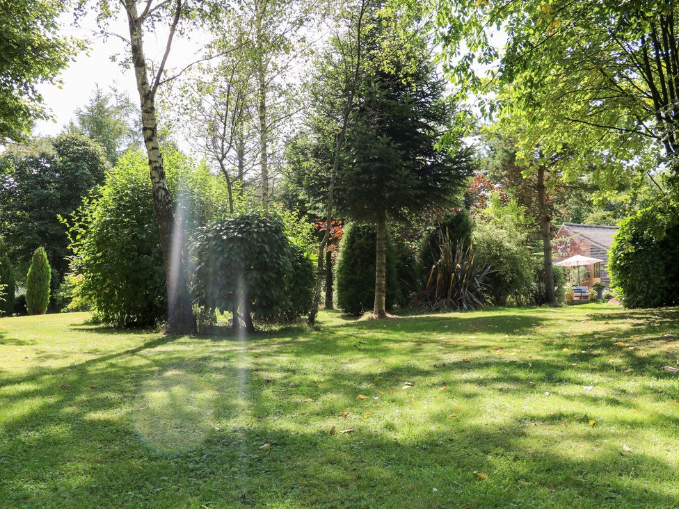 A garden with trees and shrubs at Ladycroft Barn Ashbourne