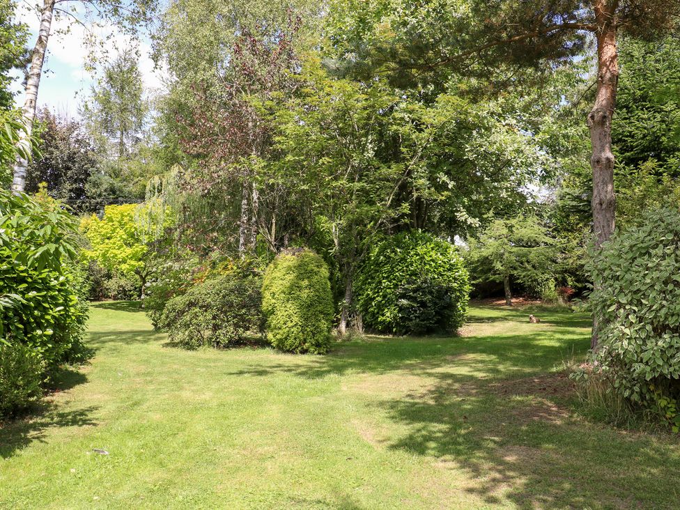A garden with trees and bushes at Ladycroft Barn Ashbourne