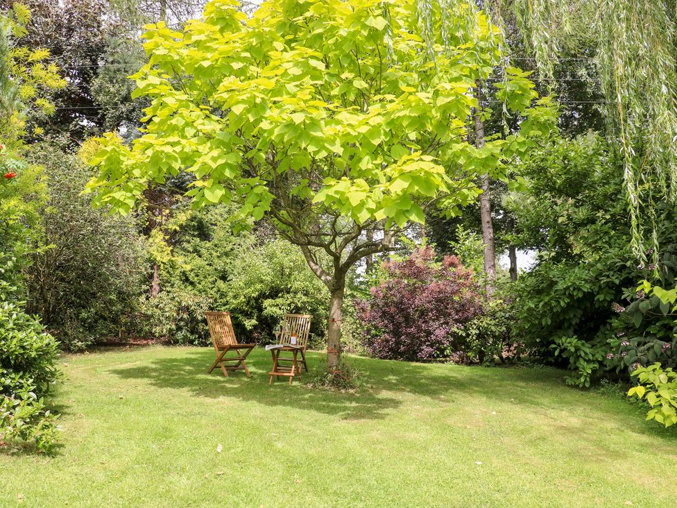 A garden with a tree and chairs at Ladycroft Barn in Ashbourne