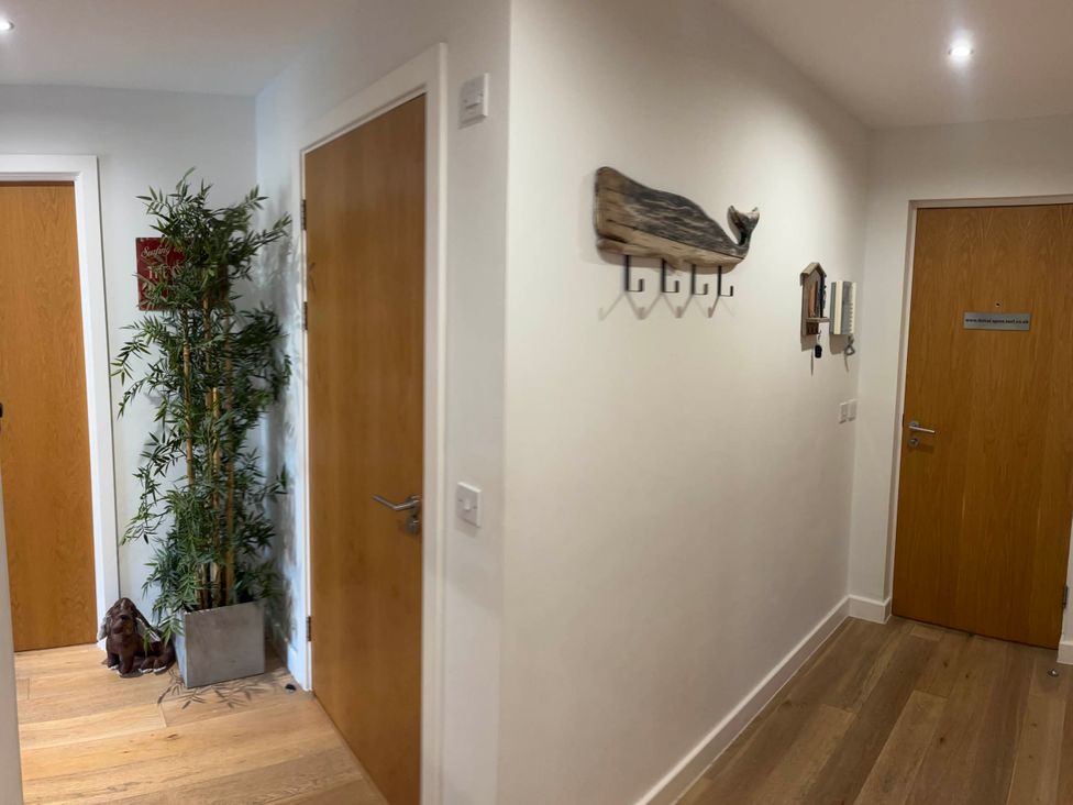 A hallway with doors and a plant at Fistral Apres Surf in Newquay
