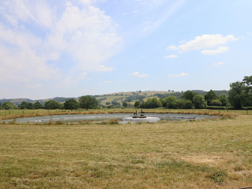 A pond surrounded by grass and trees at Bodaioch Hall Trefeglwys near Caersws