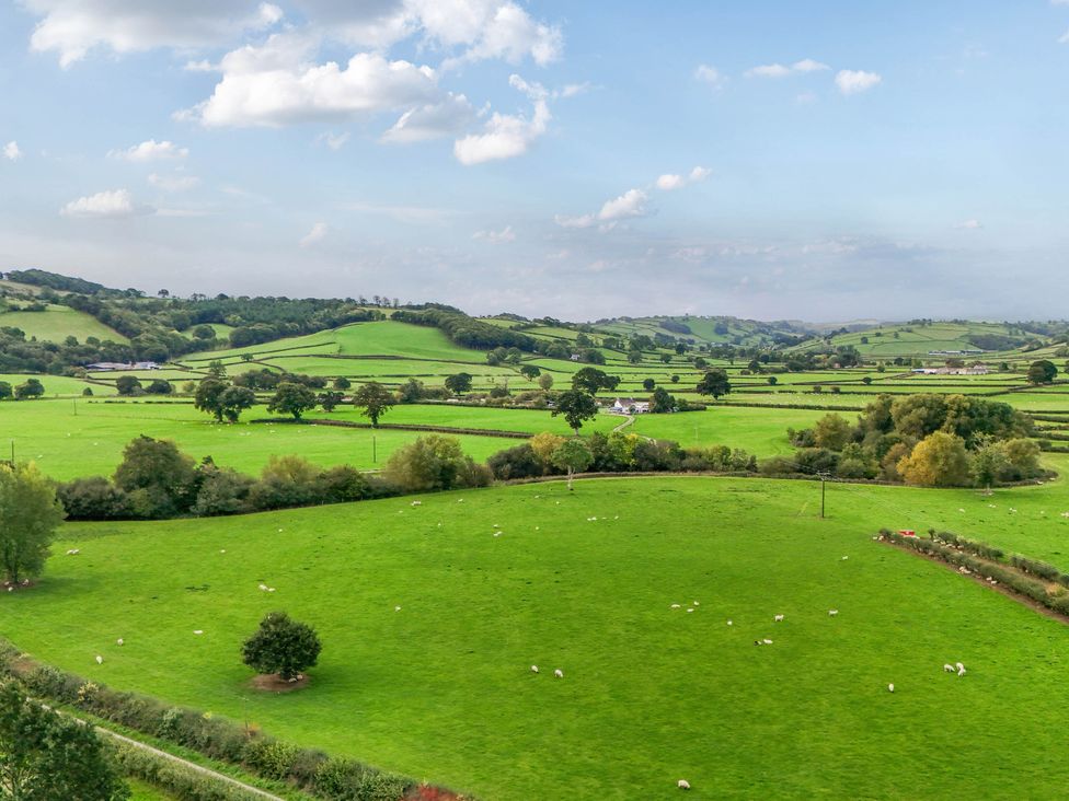 A green landscape with sheep and trees at Bodaioch Hall Trefeglwys near Caersws