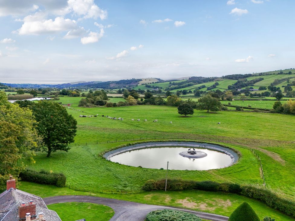 A pond with cows grazing in a field at Bodaioch Hall Trefeglwys near Caersws