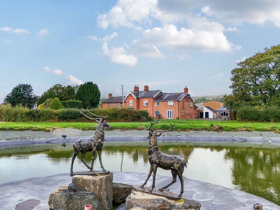A house beside a pond with two deer statues at Bodaioch Hall Trefeglwys near Caersws