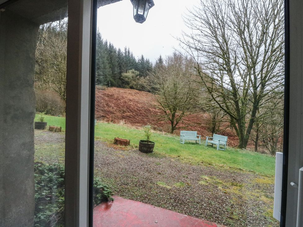 Willow -  - 1069071 - thumbnail photo 7