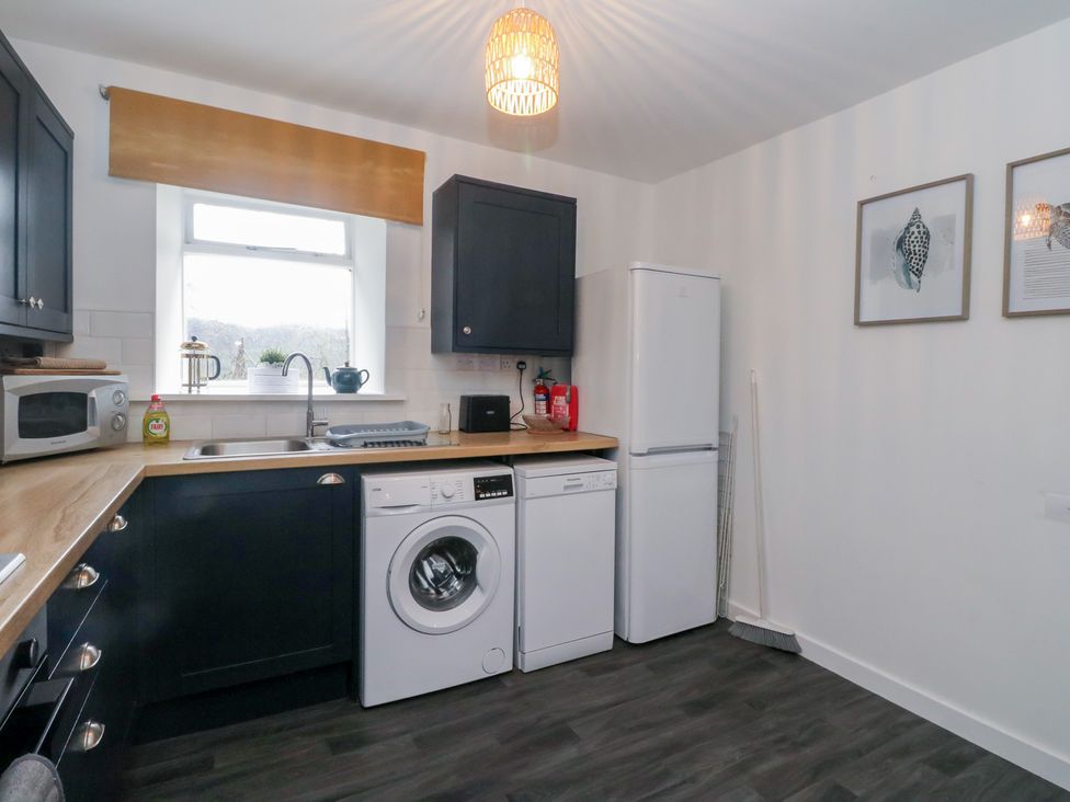 Willow -  - 1069071 - thumbnail photo 9