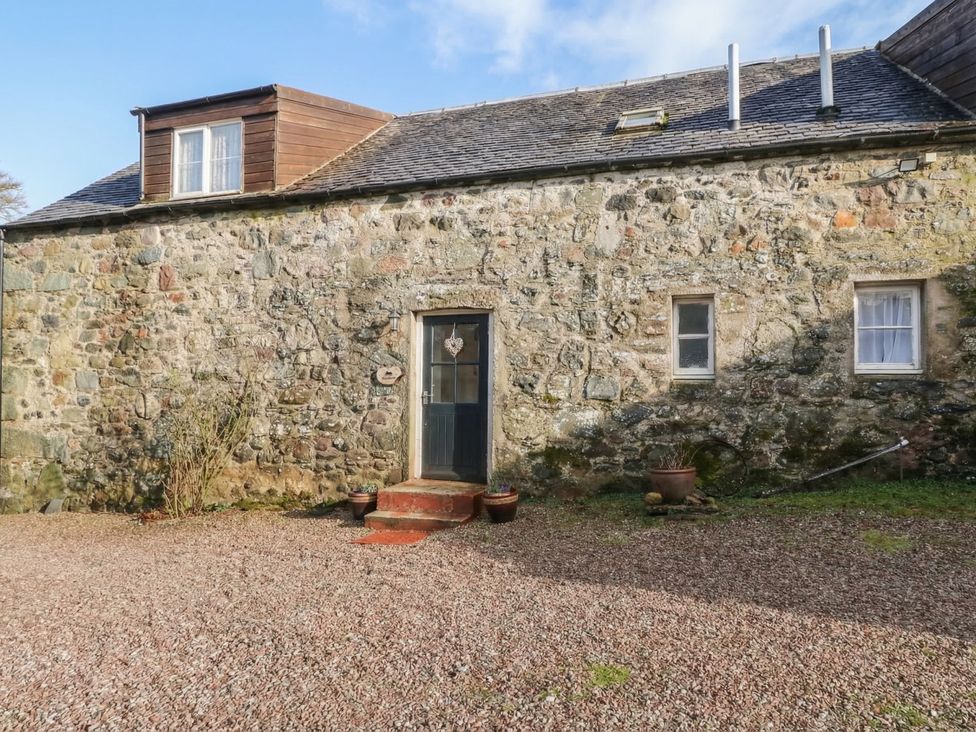 Hawthorn -  - 1069075 - thumbnail photo 1