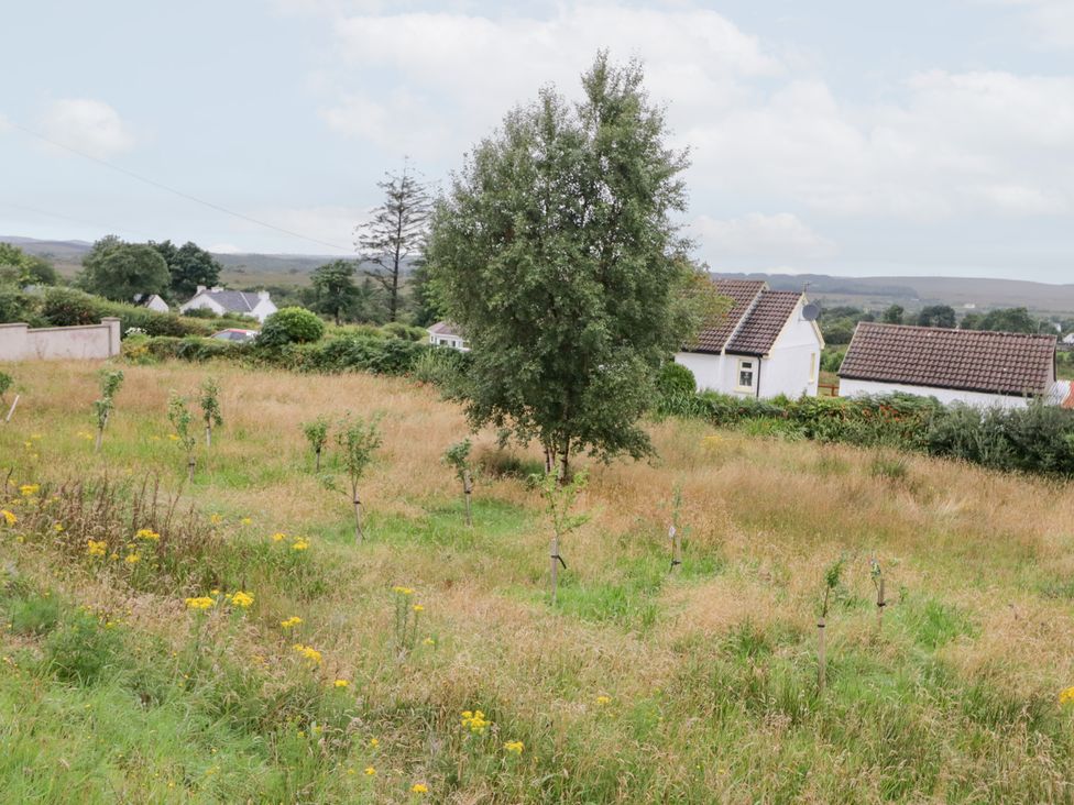 An outdoor area with a tree, grass, and houses at Ard na Gréine in Glenties, County Donegal