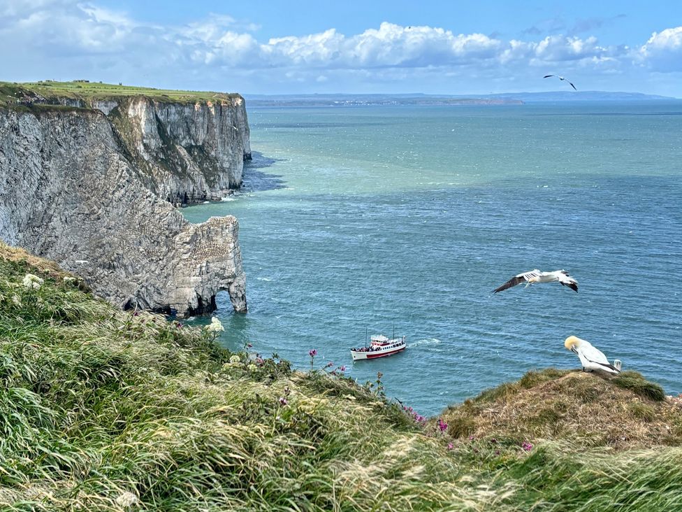 A view of cliffs and ocean with a boat and birds at Bobbies' Retreat, 20 High Street, Bridlington